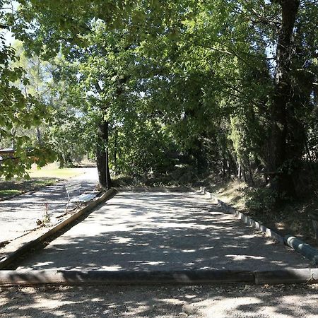 Le Mas Du Vieux Chene Saint-Paul-en-Foret Екстер'єр фото