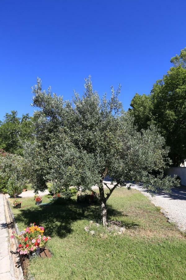 Le Mas Du Vieux Chene Saint-Paul-en-Foret Екстер'єр фото